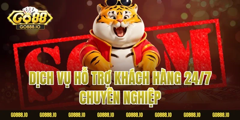Dịch vụ hỗ trợ khách hàng 24/7 chuyên nghiệp